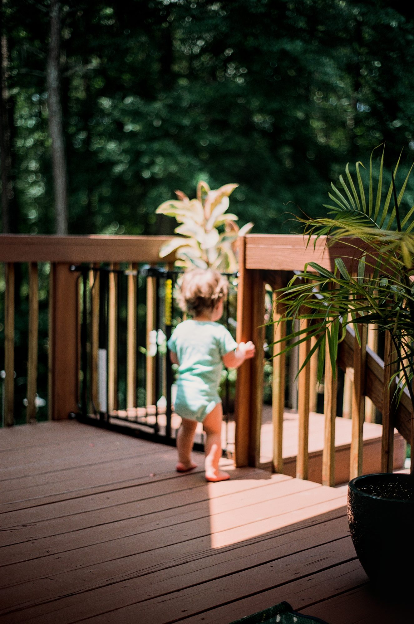 Deck — Home. Color photograph by Jeff Pearson.