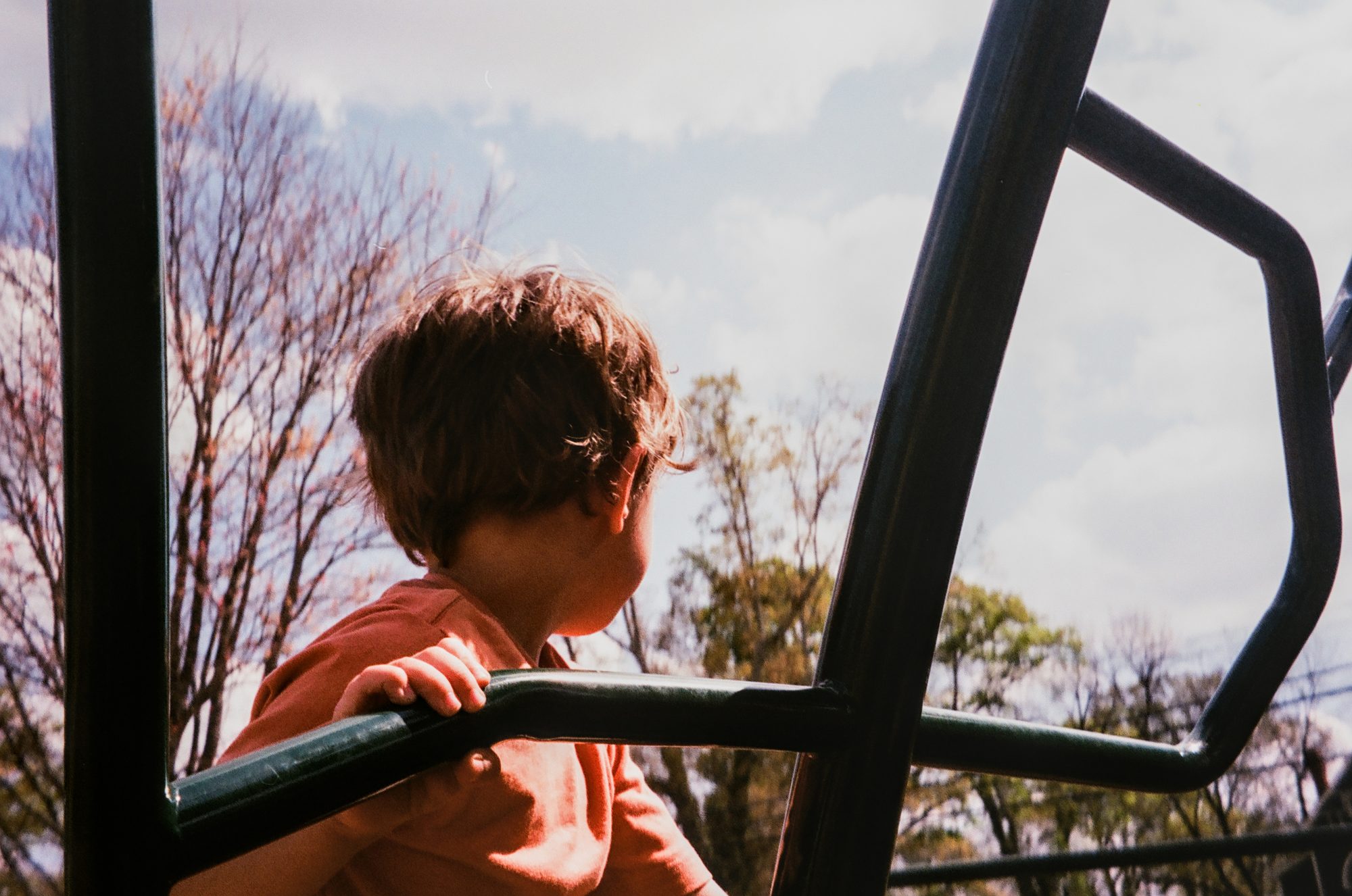Captain. Color photograph by Jeff Pearson.